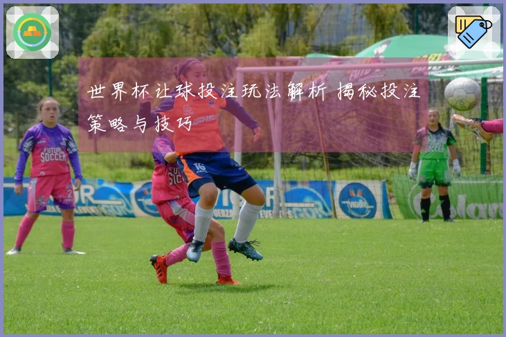世界杯让球投注玩法解析 揭秘投注策略与技巧