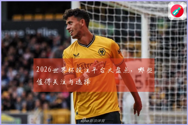 2026世界杯投注平台大盘点，哪些值得关注与选择