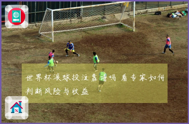 世界杯滚球投注靠谱吗 看专家如何判断风险与收益